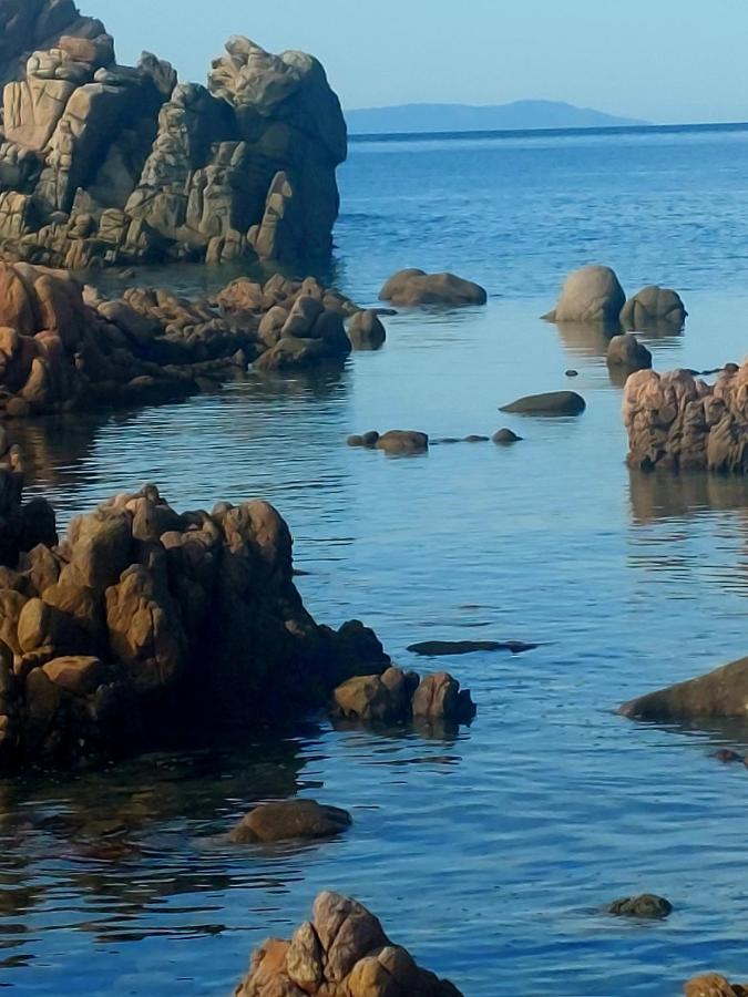 Appartamento Calarossa Sardegna Casarosa Isola Rossa Eksteriør bilde